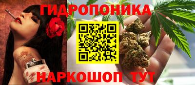 прущие крисы Донской