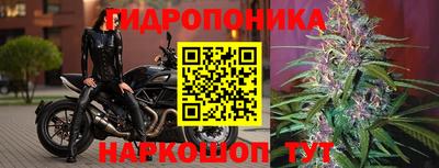 МДПВ Донецк