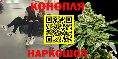 МДПВ Донецк