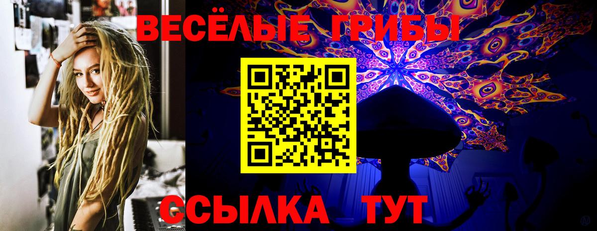 Луховицы  Псилоцибиновые грибы мицелий  Галлюциногенные грибы Psilocybine cubensis  Вход с VPN 