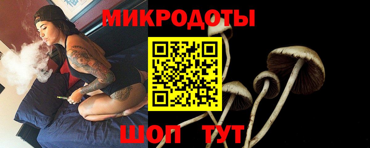 Галлюциногенные грибы MAGIC MUSHROOMS Луховицы